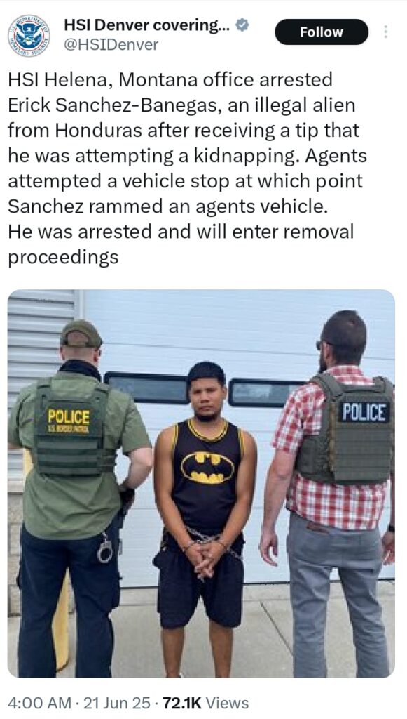 ICE agents detain batman