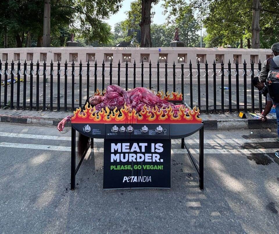 PETA organises grisly 'Meat is Murder' protest in Lucknow