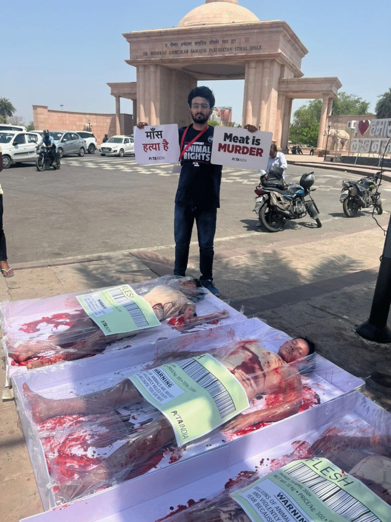 PETA organises grisly 'Meat is Murder' protest in Lucknow