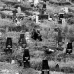 Trump Admin distances from White Nationalists, boasts more immigrants are becoming US citizens than ever