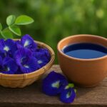 House Republicans want to stop Zohran Mamdani from becoming New York Mayor if he wins Elections